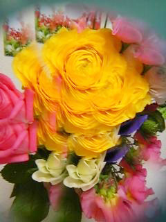f0121111_019690.jpg