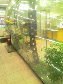 最近の写真集①_b0157416_0455345.jpg