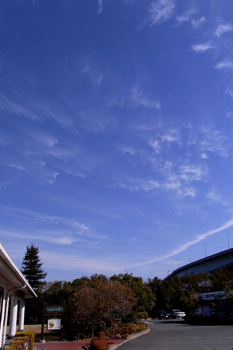 e0083517_1752238.jpg