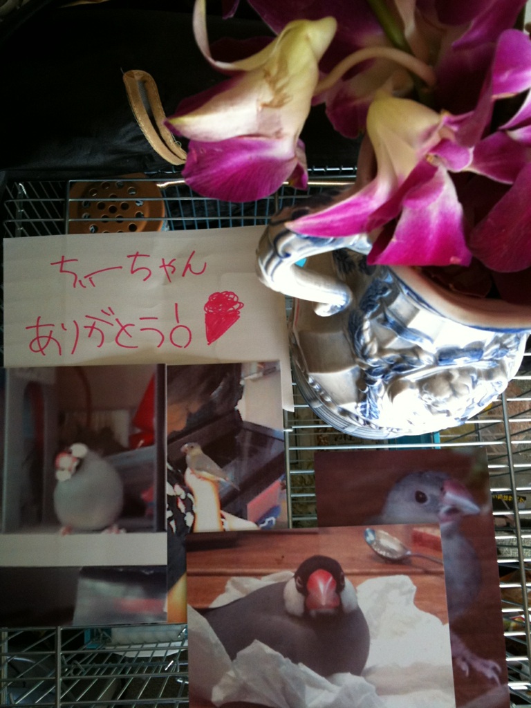 e0151418_10164323.jpg