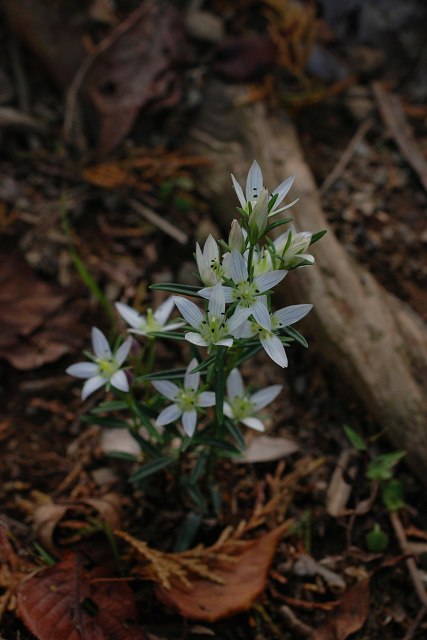 c0027027_23394944.jpg