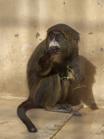 動物園_c0077531_22594389.jpg