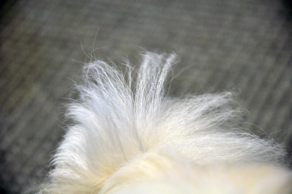 c0162536_1049373.jpg