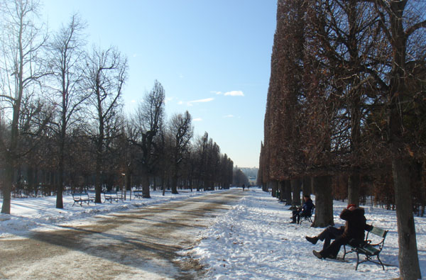 b0177545_17504816.jpg