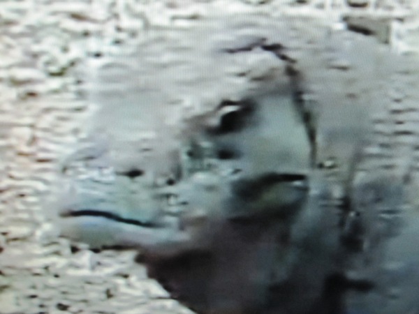 c0055857_27727.jpg