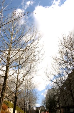 b0177078_85636.jpg