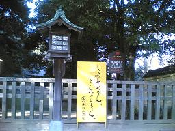 e0035892_207089.jpg