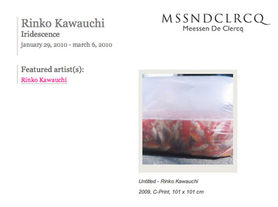 Rinko Kawwauchi\'s exhibition in Brussels_b0170193_16321483.jpg