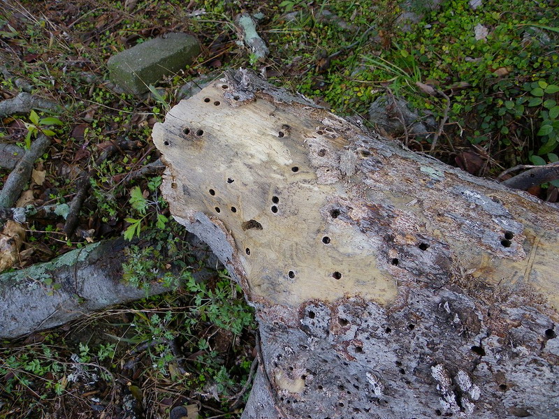 f0204094_22553347.jpg