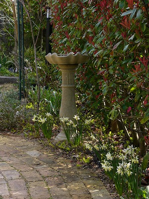 a0123003_1765869.jpg