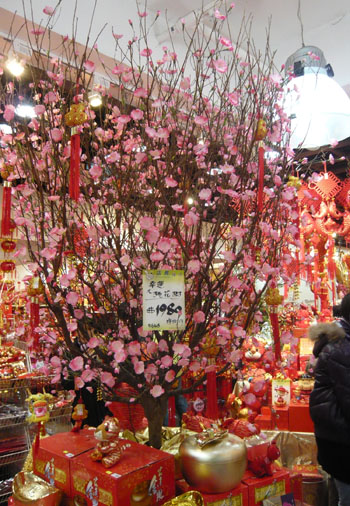 旧正月前の香港の花市場から_f0134809_14381065.jpg