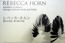 レベッカ・ホルン展 静かな叛乱 鴉と鯨の対話＠東京都現代美術館_f0006713_0304135.jpg