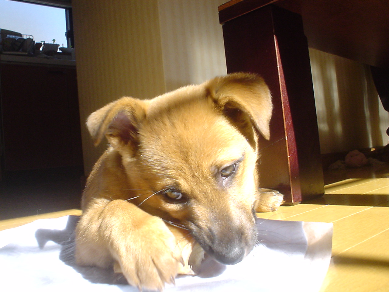 c0150520_1161572.jpg