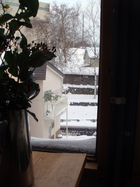 d0122226_15363.jpg
