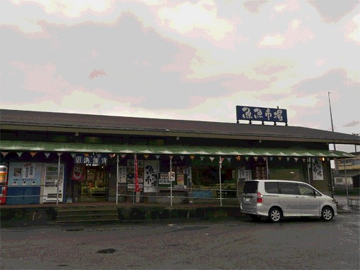 a0056140_0504239.gif