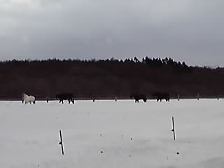 無人トレッキング_e0145441_2092164.jpg