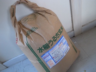 この量はお金持ちになった気分になれる．ありがとう_d0057843_1284585.jpg