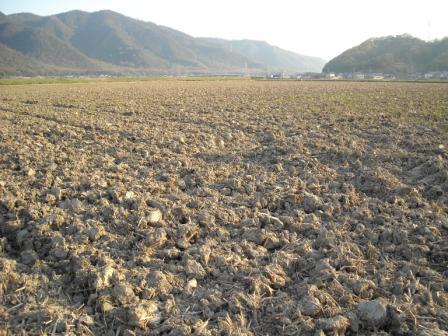 笠岡市の田舎の風景_f0184247_1854279.jpg