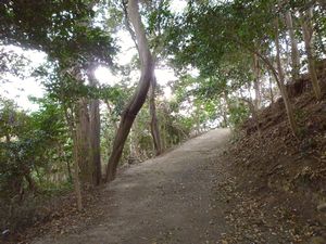 c0222861_16345140.jpg