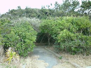 c0222861_1643860.jpg