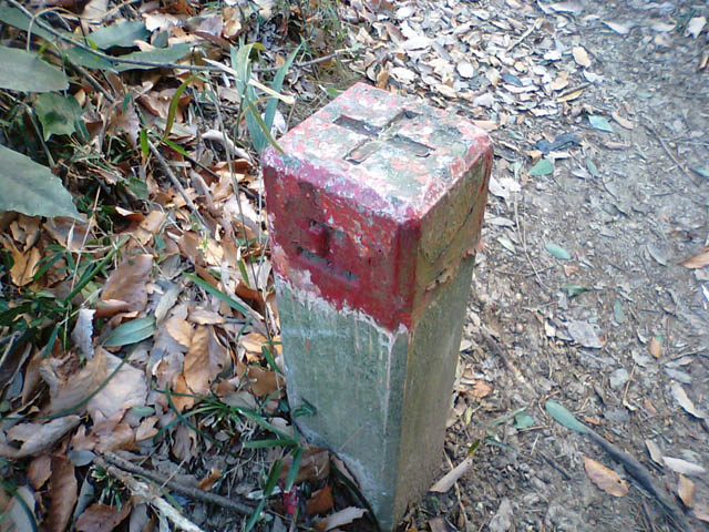 c0077964_11963.jpg