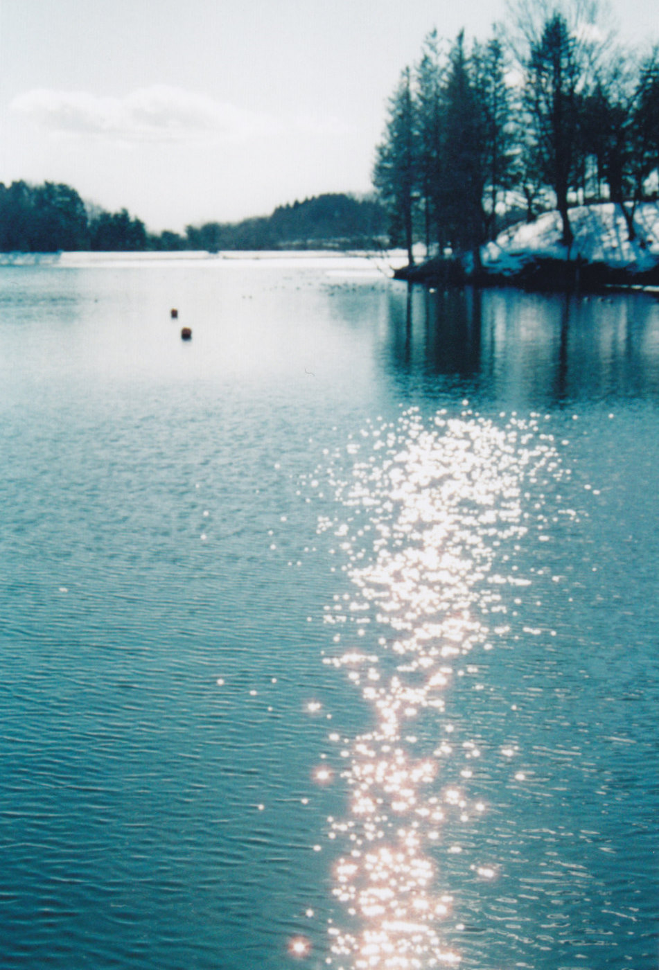 a0127070_0212893.jpg