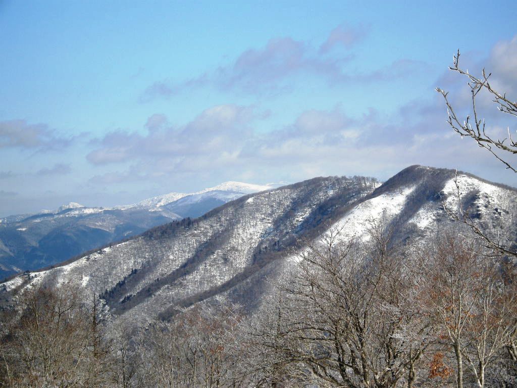 ﾔﾌﾞ山につき冬季限定ですよ、天児屋山_b0185573_7245869.jpg