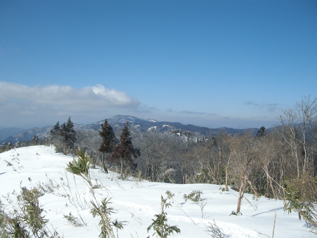 ﾔﾌﾞ山につき冬季限定ですよ、天児屋山_b0185573_7433193.jpg