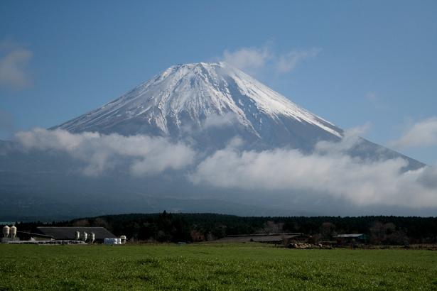 あっとゆうまに　２０１０年だぁぁ～～_b0146276_22324023.jpg