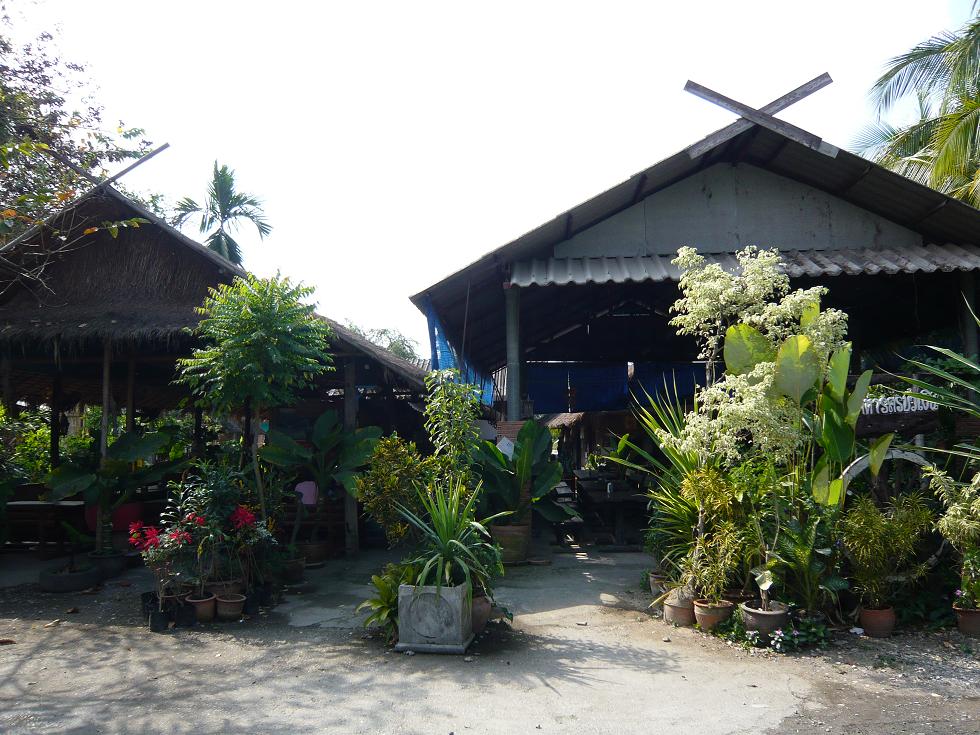 f0178278_1953075.jpg