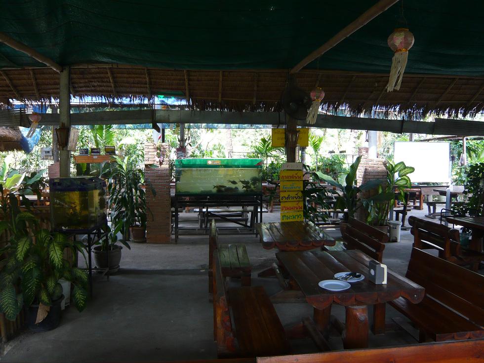 f0178278_1961278.jpg
