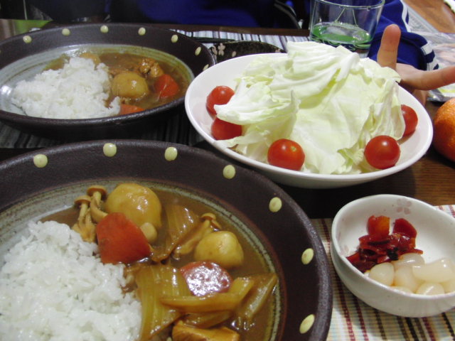 たまに食べたくなるカレー。_f0199483_22591934.jpg