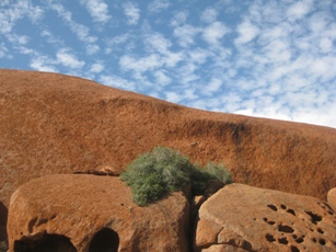 Ayers Rock Climbing_f0177489_5431426.jpg