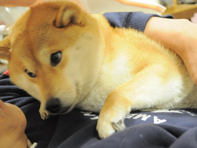 いたずらしたのは誰ですか?_a0126590_221301.jpg