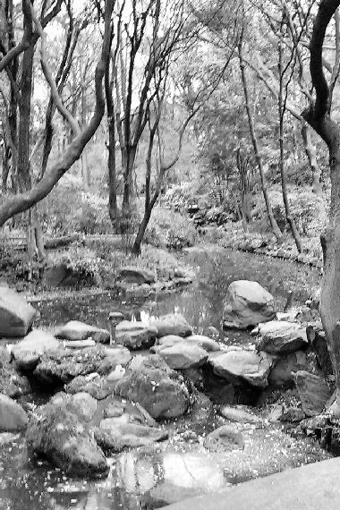 c0187594_2052088.jpg