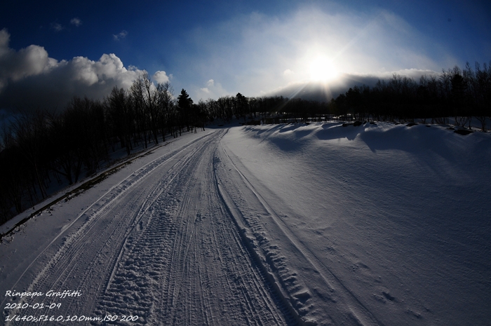 雪遊び　宮城県のいつもの場所_a0103596_1235456.jpg