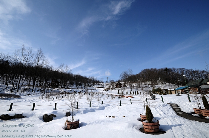 雪遊び　宮城県のいつもの場所_a0103596_1244599.jpg