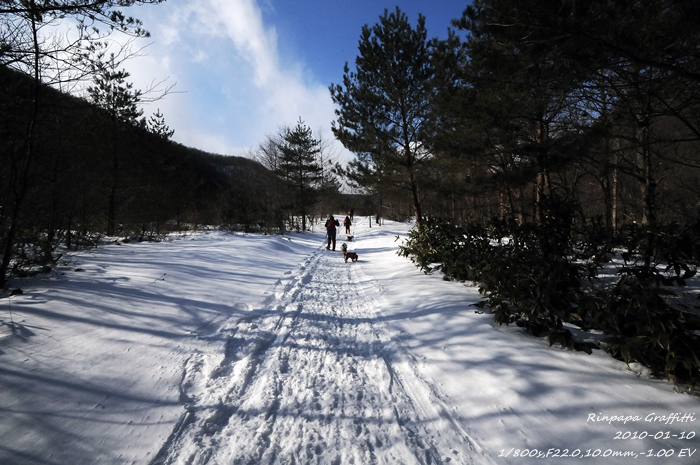 雪遊び　宮城県のいつもの場所_a0103596_1292475.jpg