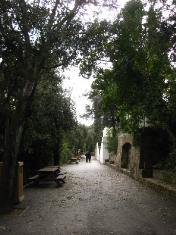 c0180096_6591433.jpg