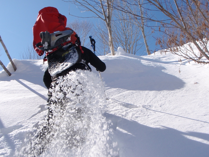 野伏ケ岳 BC 2010.1.27 当った(^^)v_c0147398_8494418.jpg