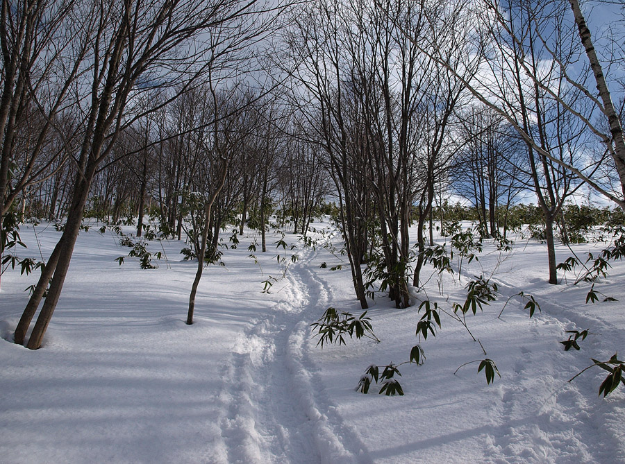 北広山(島松山)　　2010.1.24_f0200402_2247094.jpg