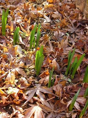 a0123003_16551085.jpg