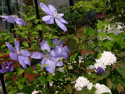 a0123003_17175063.jpg
