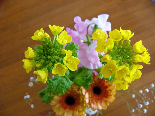 a0123003_1834513.jpg
