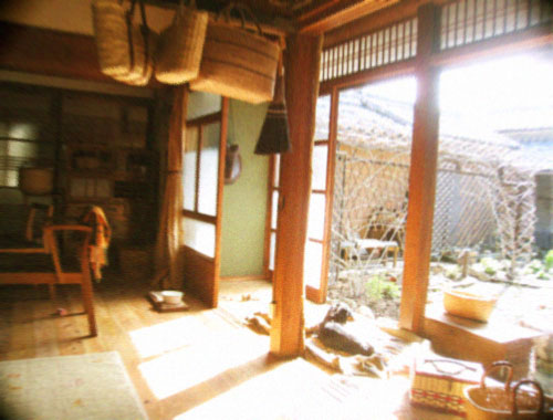 d0077603_11151063.jpg