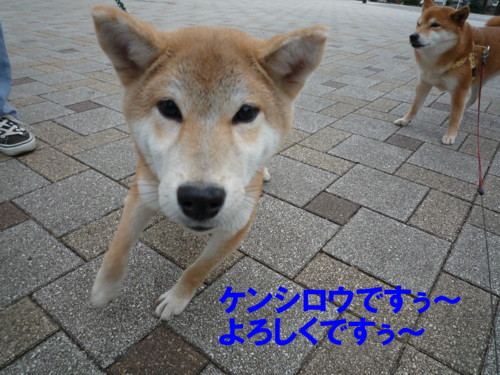e0131506_21243537.jpg