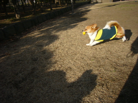 e0130008_19372112.jpg