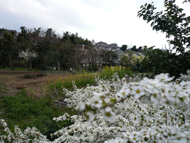 f0201310_19422240.jpg