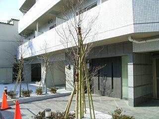 c0219214_13521830.jpg