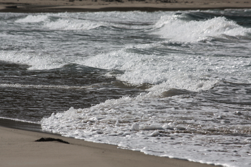 c0132325_20592730.gif